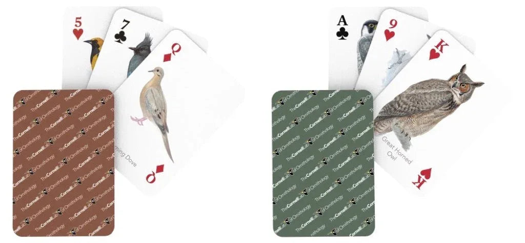 Cornell Birds Double Deck Playing Cards - BIG FRENCHIES