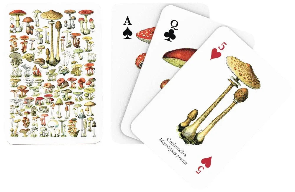 Mushroom Playing Cards - BIG FRENCHIES