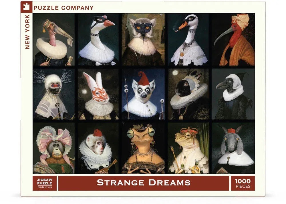 Strange Dreams - BIG FRENCHIES