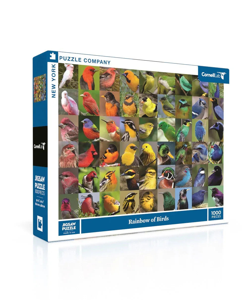Rainbow of Birds - BIG FRENCHIES