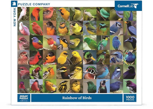 Rainbow of Birds - BIG FRENCHIES