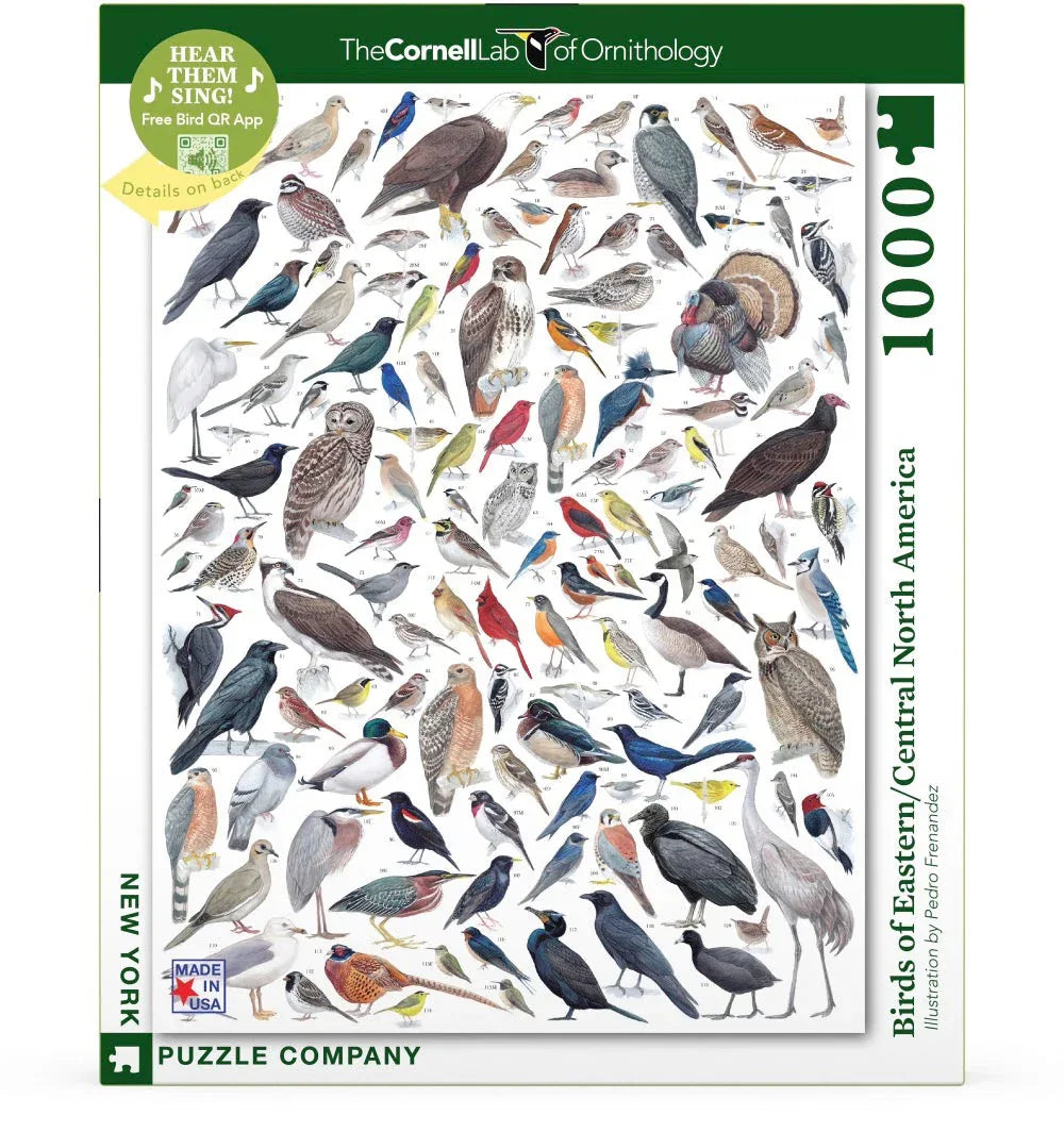 Birds of Eastern/Central North America - BIG FRENCHIES