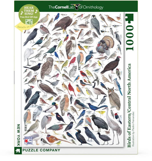 Birds of Eastern/Central North America - BIG FRENCHIES