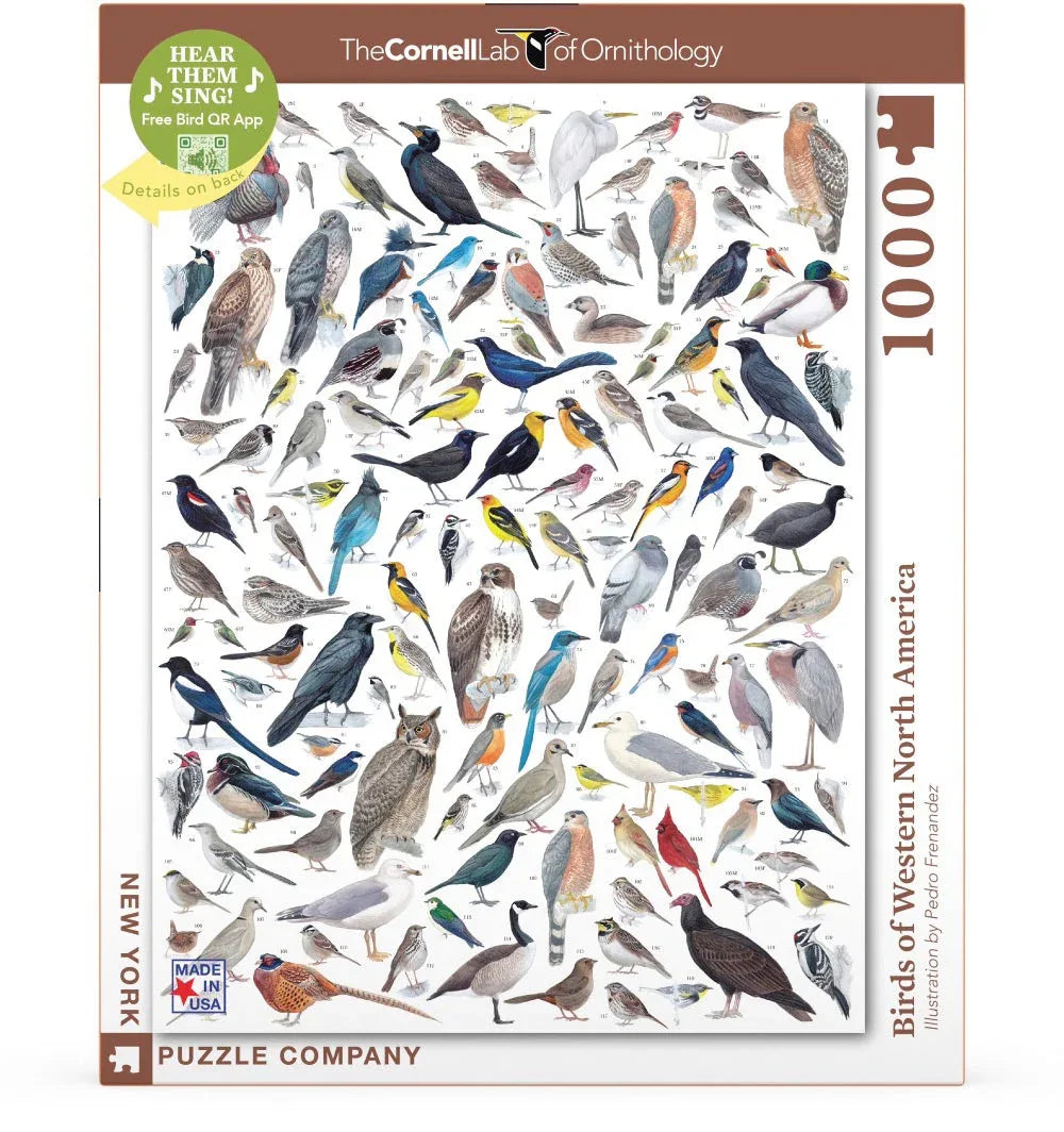 Birds of Western North America - BIG FRENCHIES