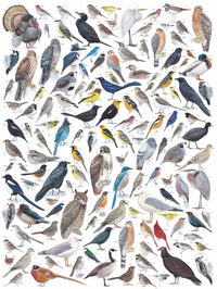 Birds of Western North America - BIG FRENCHIES