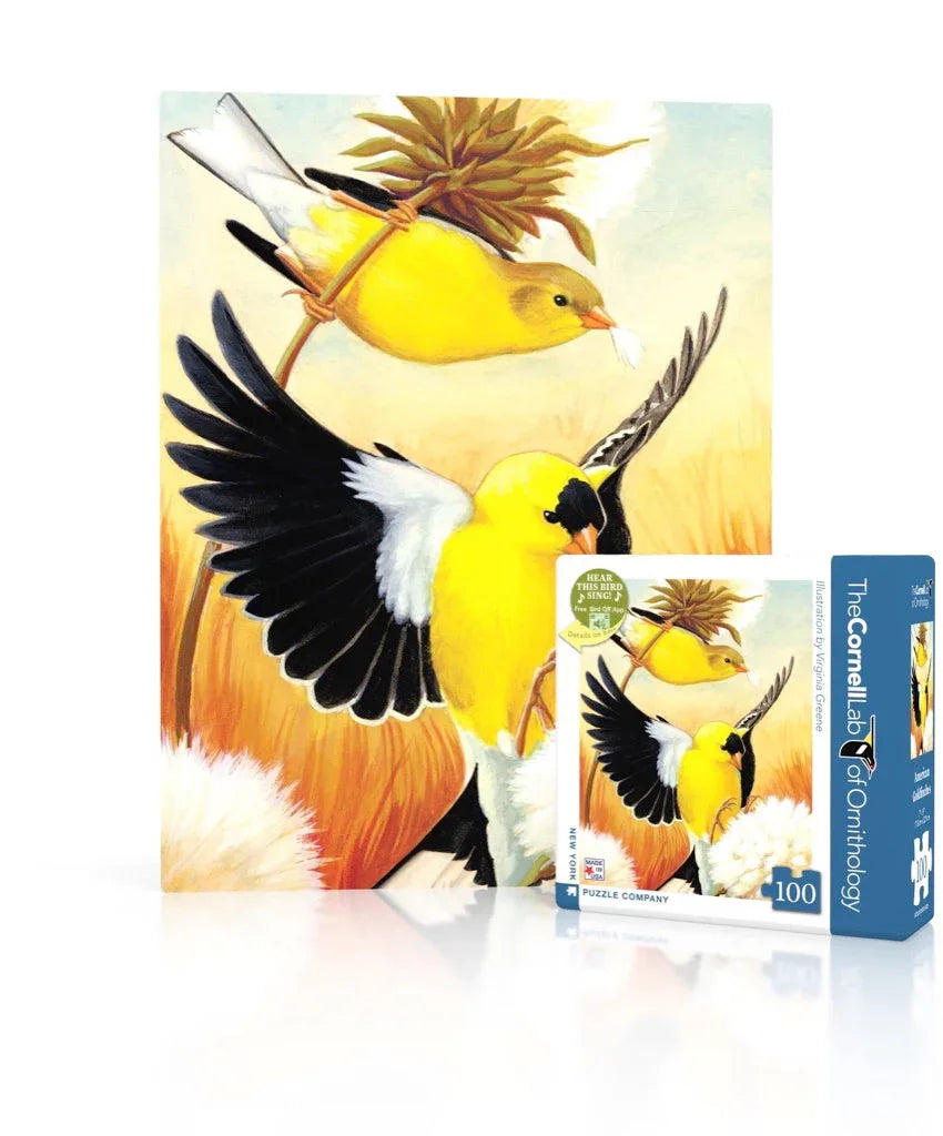 American Goldfinch Mini - BIG FRENCHIES