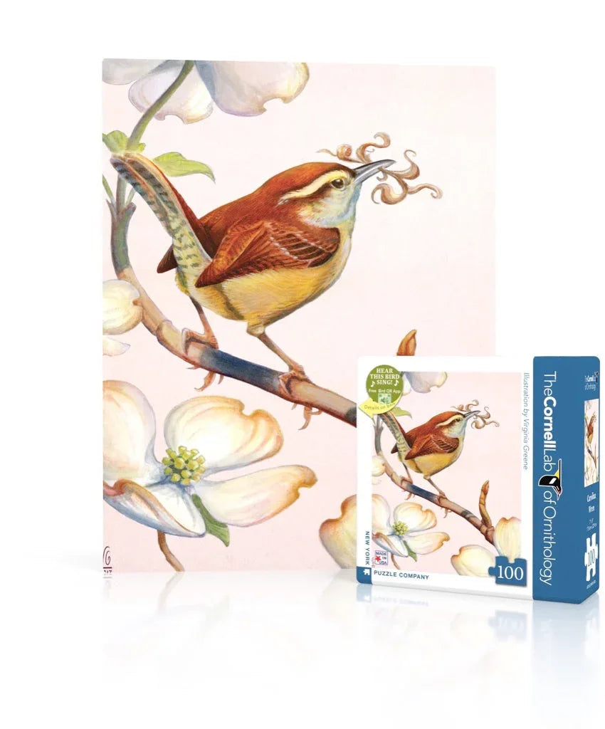 Carolina Wren Mini - BIG FRENCHIES