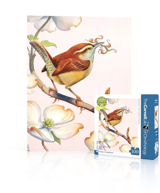 Carolina Wren Mini - BIG FRENCHIES