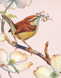 Carolina Wren Mini - BIG FRENCHIES