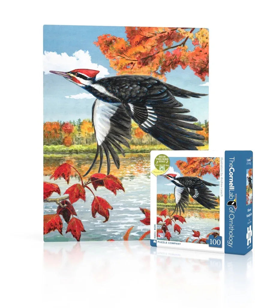 Pileated Woodpecker Mini - BIG FRENCHIES