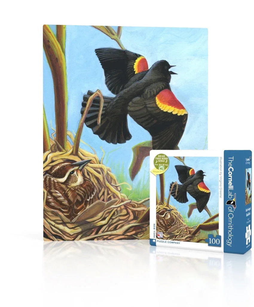 Red-winged Blackbird Mini - BIG FRENCHIES
