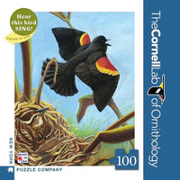 Red-winged Blackbird Mini - BIG FRENCHIES