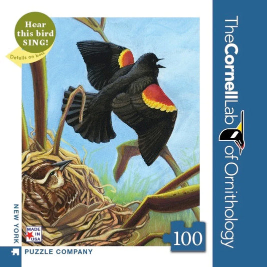 Red-winged Blackbird Mini - BIG FRENCHIES