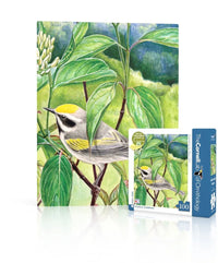 Golden-winged Warbler Mini - BIG FRENCHIES
