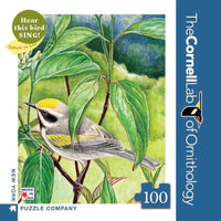 Golden-winged Warbler Mini - BIG FRENCHIES