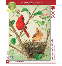 Northern Cardinals - BIG FRENCHIES