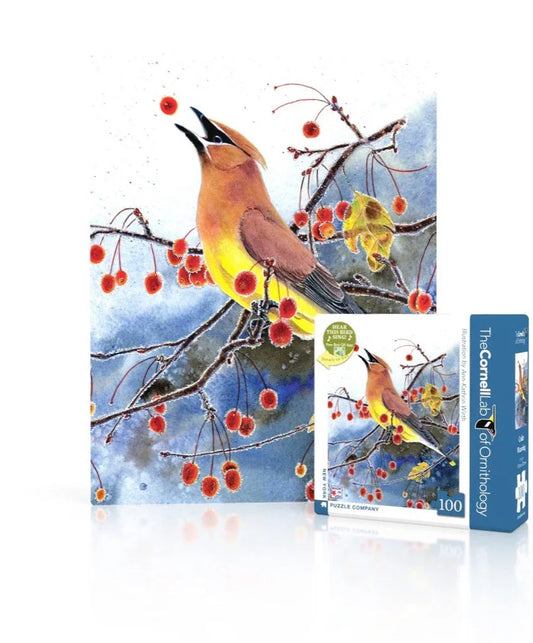 Cedar Waxwing Mini - BIG FRENCHIES