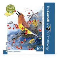 Cedar Waxwing Mini - BIG FRENCHIES