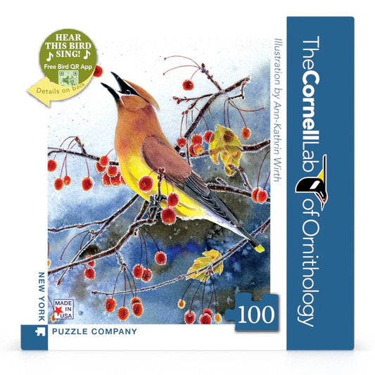 Cedar Waxwing Mini - BIG FRENCHIES