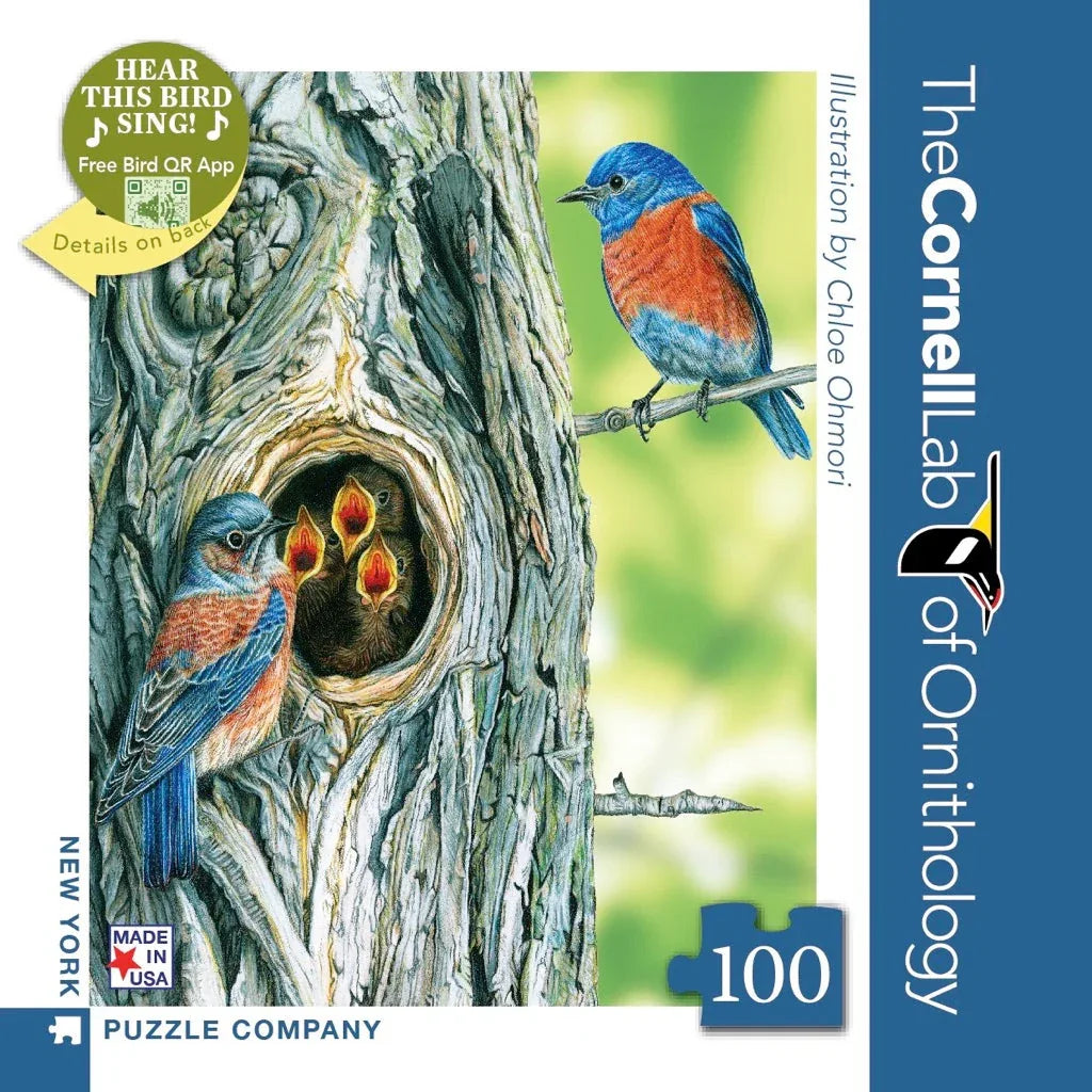 Western Bluebird Mini - BIG FRENCHIES
