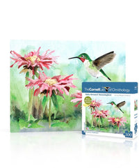 Ruby-throated Hummingbird Mini - BIG FRENCHIES