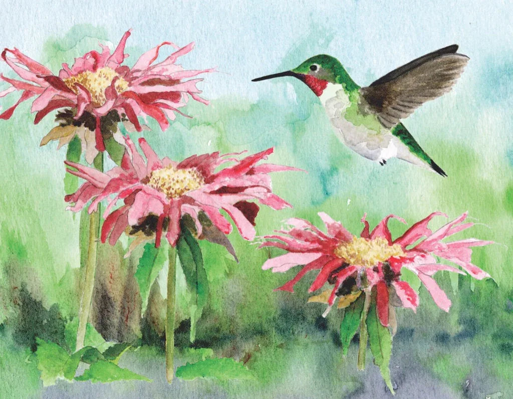 Ruby-throated Hummingbird Mini - BIG FRENCHIES