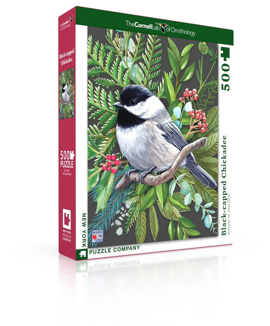Black-capped Chickadee - BIG FRENCHIES