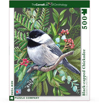 Black-capped Chickadee - BIG FRENCHIES