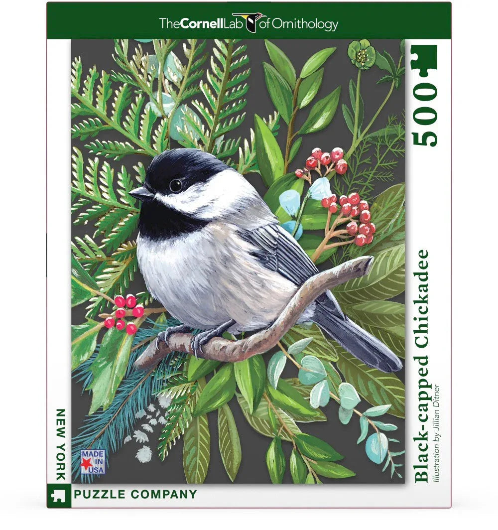 Black-capped Chickadee - BIG FRENCHIES