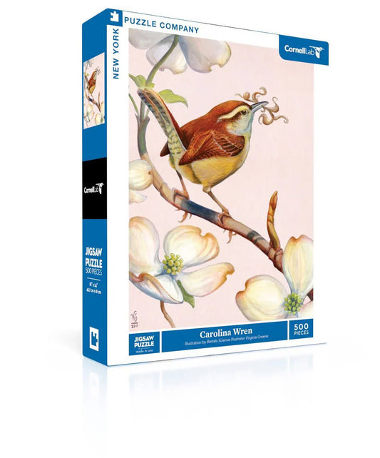 Carolina Wren - BIG FRENCHIES