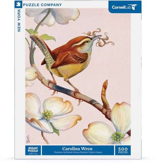 Carolina Wren - BIG FRENCHIES