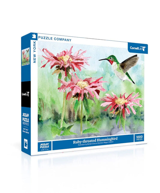 Ruby-throated Hummingbird - BIG FRENCHIES