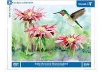 Ruby-throated Hummingbird - BIG FRENCHIES