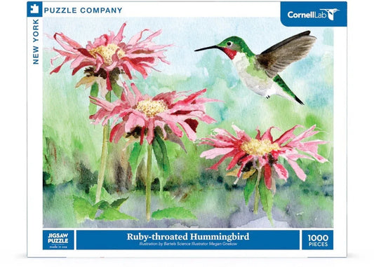Ruby-throated Hummingbird - BIG FRENCHIES