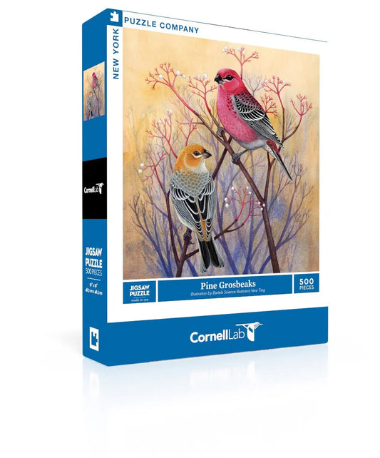 Pine Grosbeaks - BIG FRENCHIES