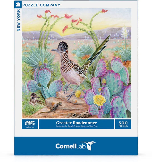 Greater Roadrunner - BIG FRENCHIES
