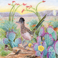 Greater Roadrunner - BIG FRENCHIES