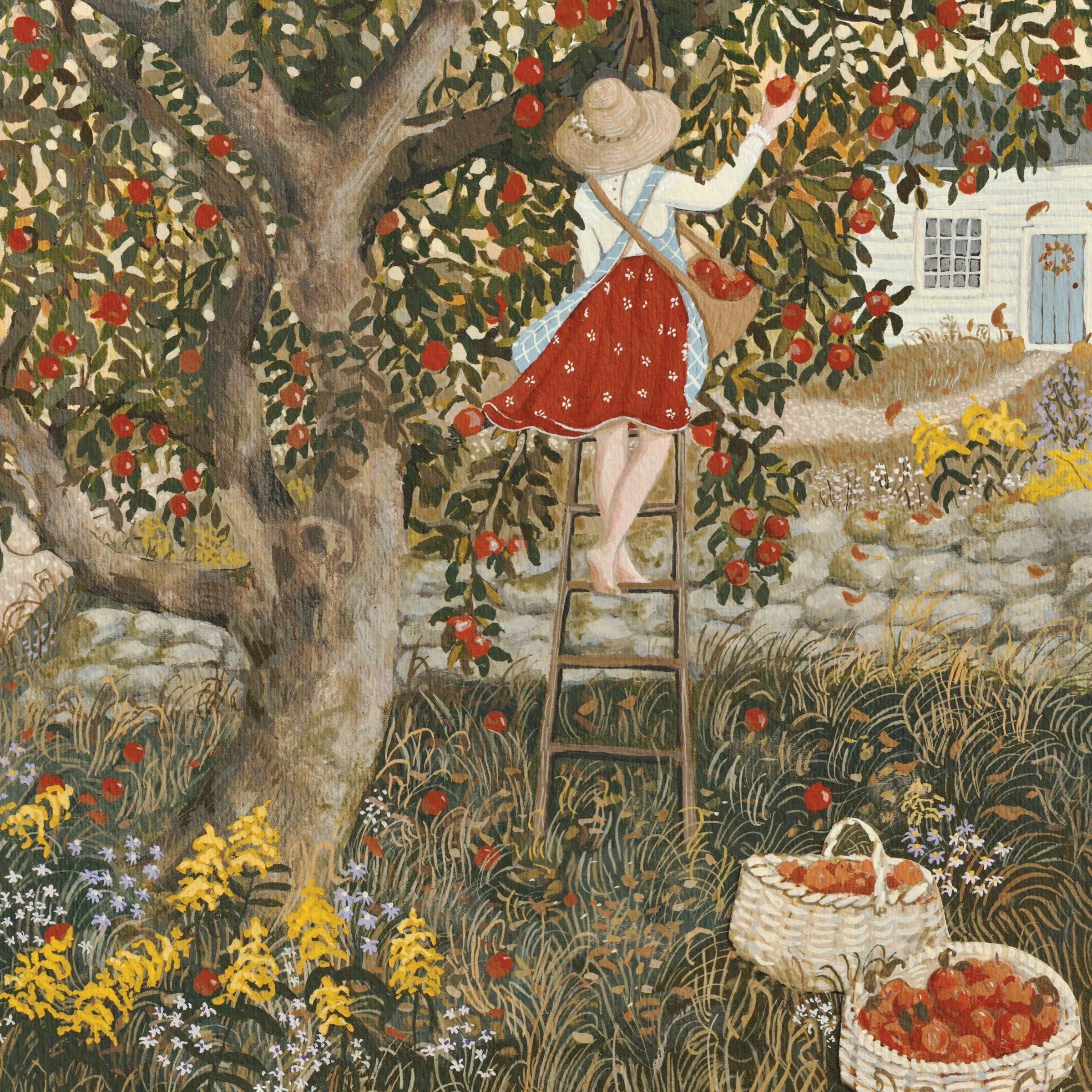Oldest in the Orchard Mini - BIG FRENCHIES