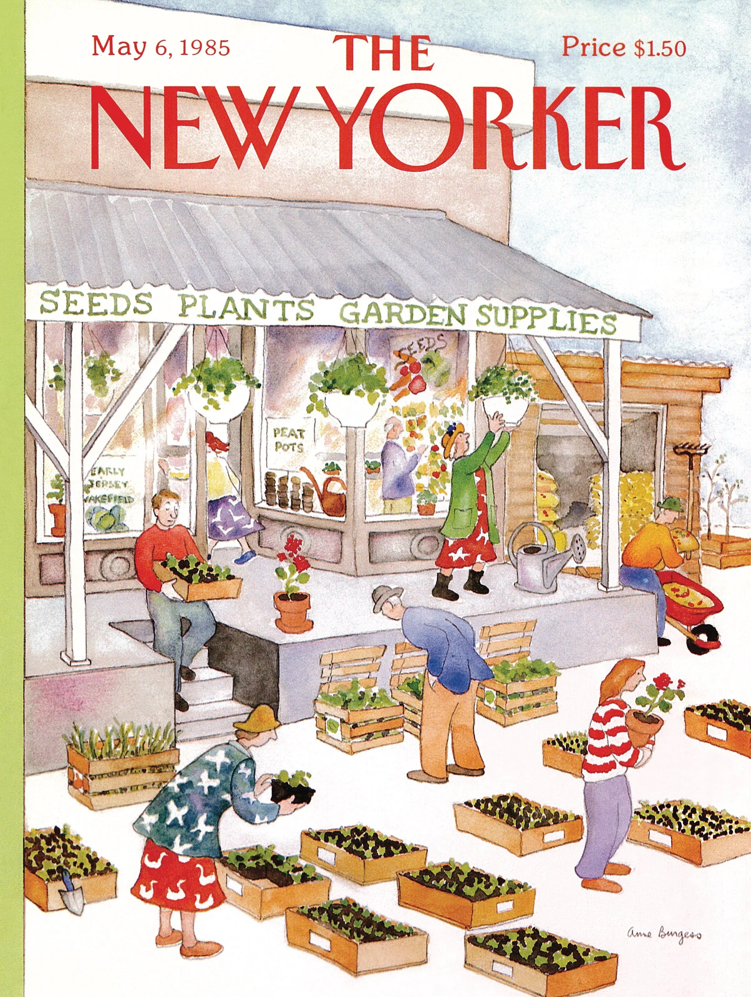 Garden Supplies - BIG FRENCHIES