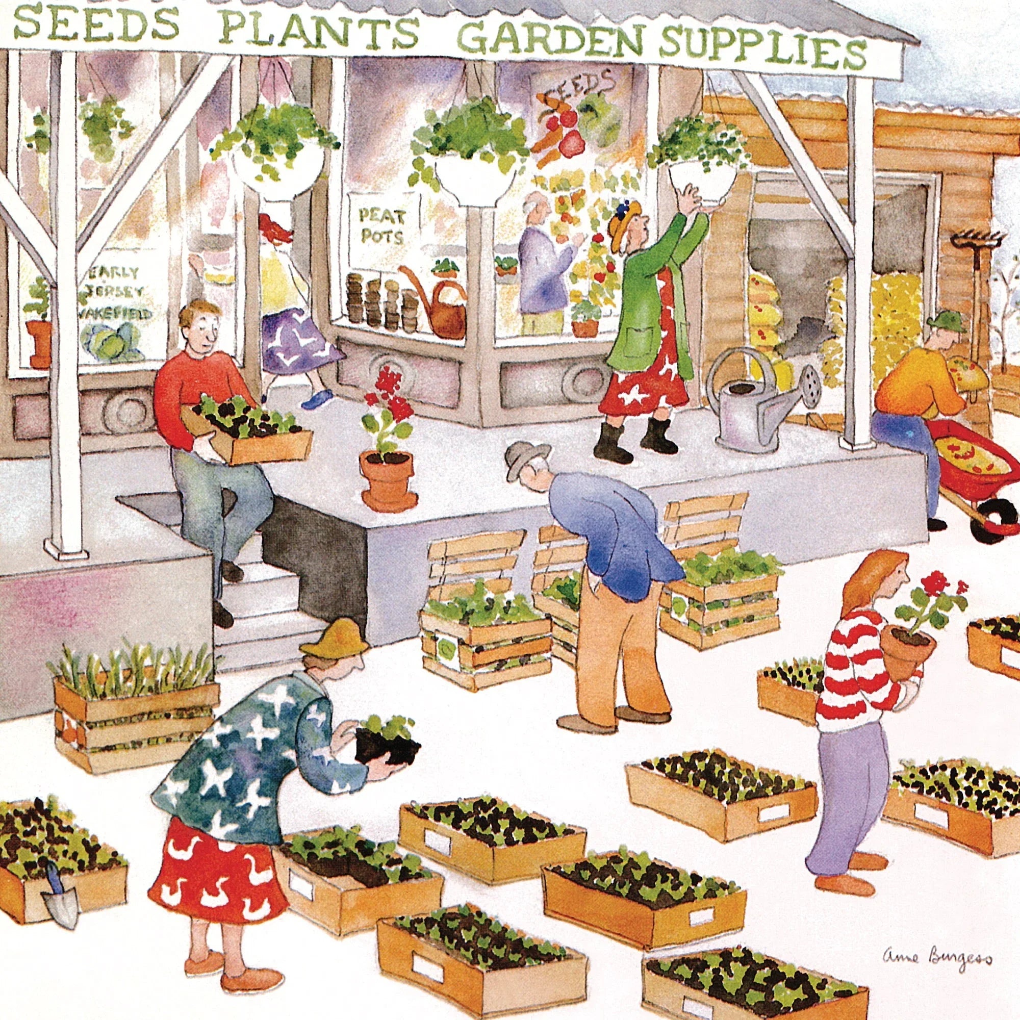 Garden Supplies - BIG FRENCHIES