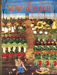 Vegetable Garden - BIG FRENCHIES