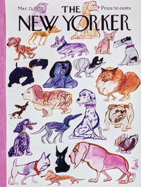 Doggies - BIG FRENCHIES