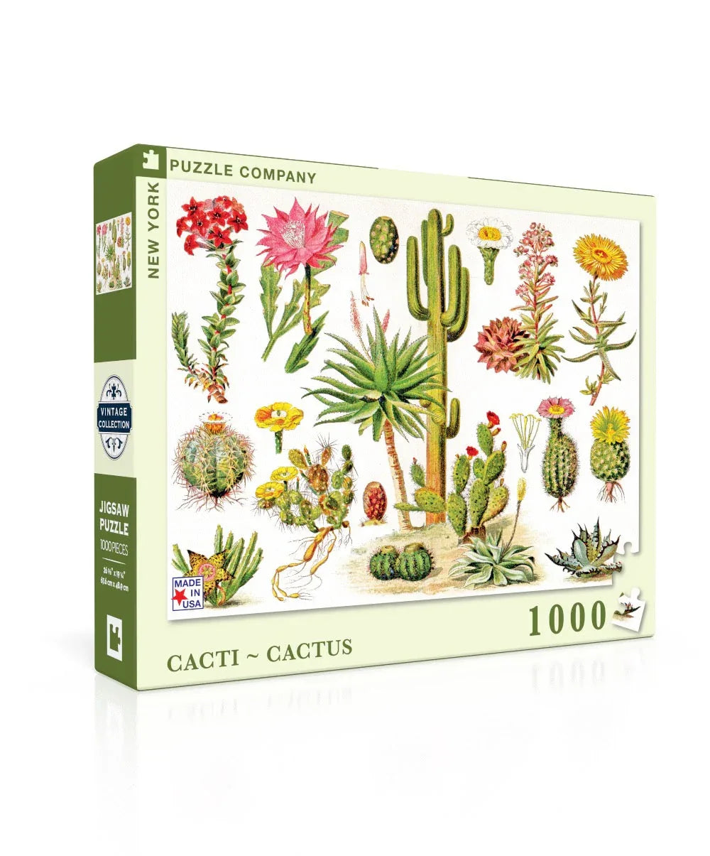 Cacti ~ Cactus - BIG FRENCHIES