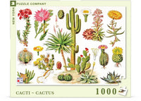 Cacti ~ Cactus - BIG FRENCHIES