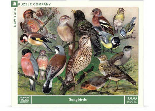 Songbirds - BIG FRENCHIES