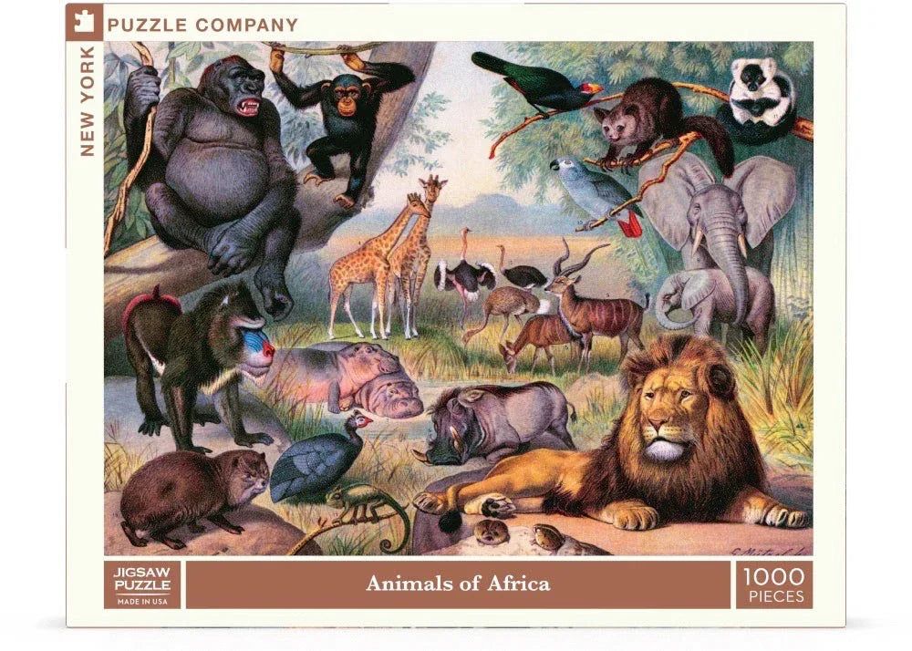 Animals of Africa - BIG FRENCHIES