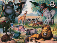 Animals of Africa - BIG FRENCHIES
