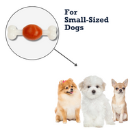 Country Living TPR & Nylon Bone Dog Chew Toy - Beef-Flavored, Ideal for Small Dogs - BIG FRENCHIES