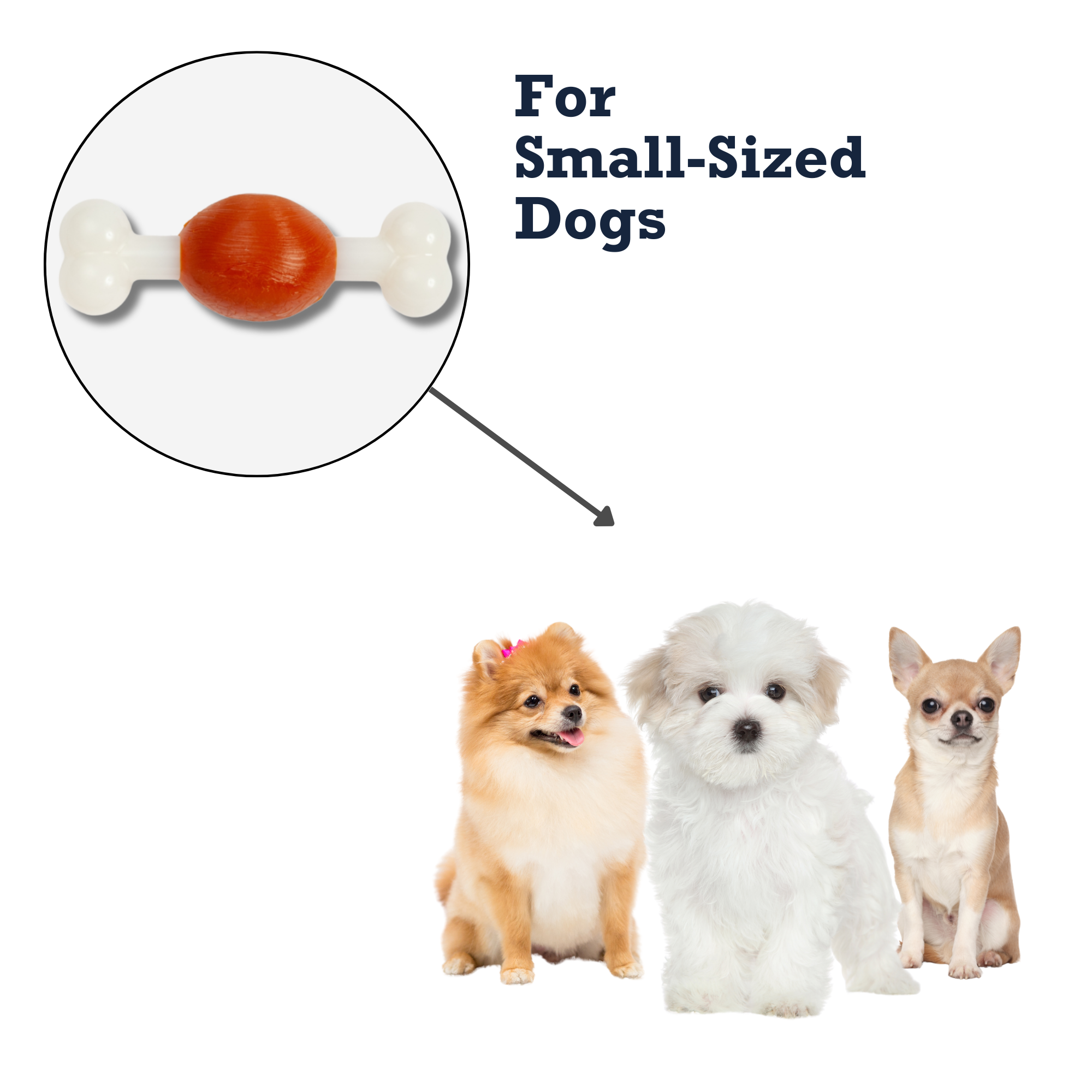 Country Living TPR & Nylon Bone Dog Chew Toy - Beef-Flavored, Ideal for Small Dogs - BIG FRENCHIES