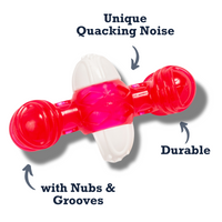 Country Living TPR & Nylon Quacker Bone Chew Toy for Dogs – with Engaging Quacking Sound - BIG FRENCHIES
